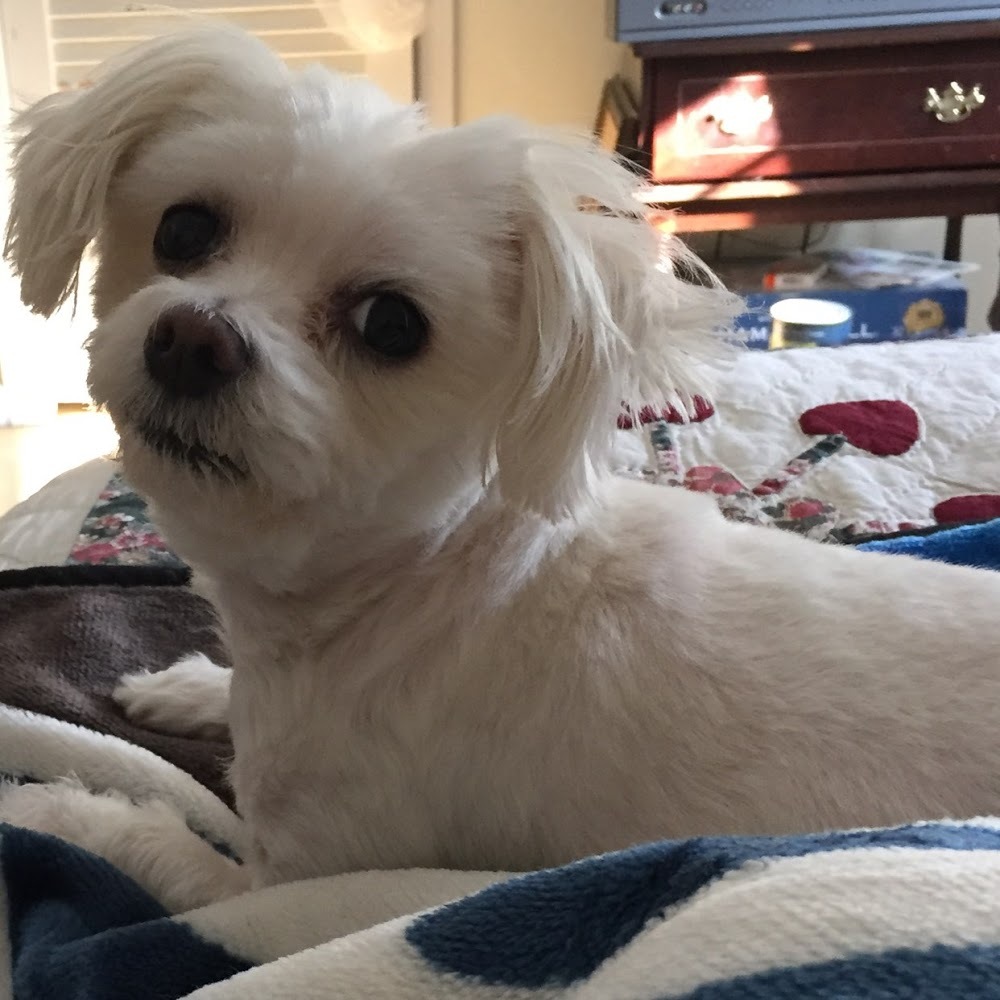 Meet your Posher, Eileen